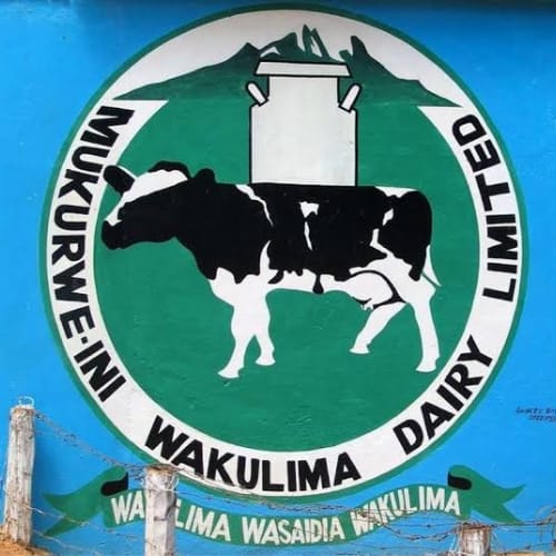 Mukurweini Wakulima Dairy